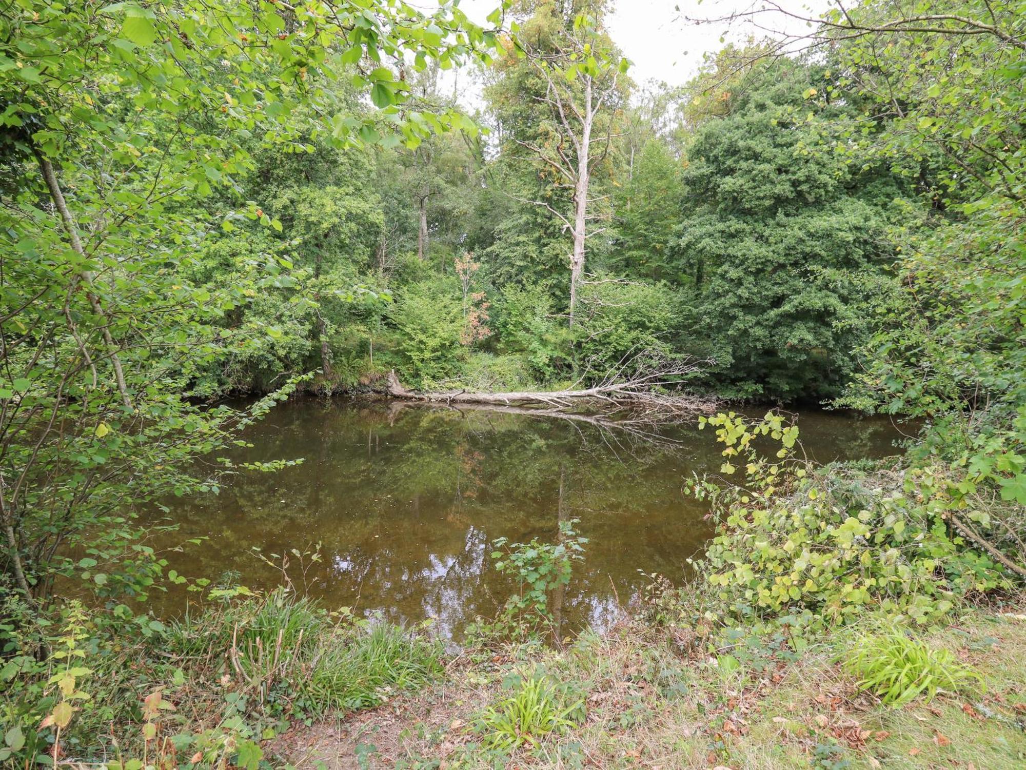 Riverside Rest Builth Wells Ngoại thất bức ảnh